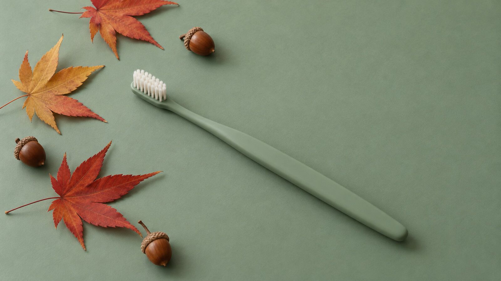 歯ブラシと紅葉、どんぐりを並べた秋の静物